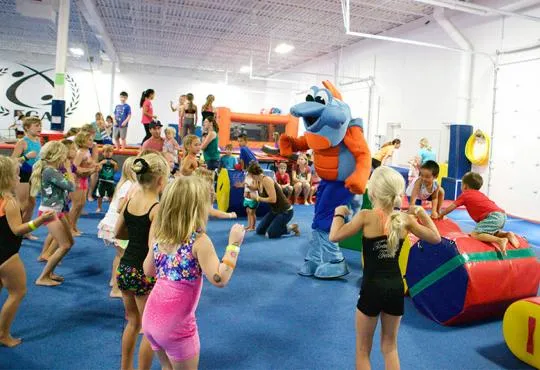 EGA Camps at Elite Gymnastics Academy